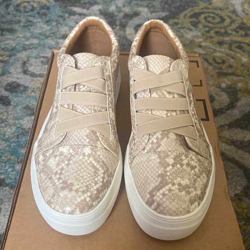 Dolce Vita shoes